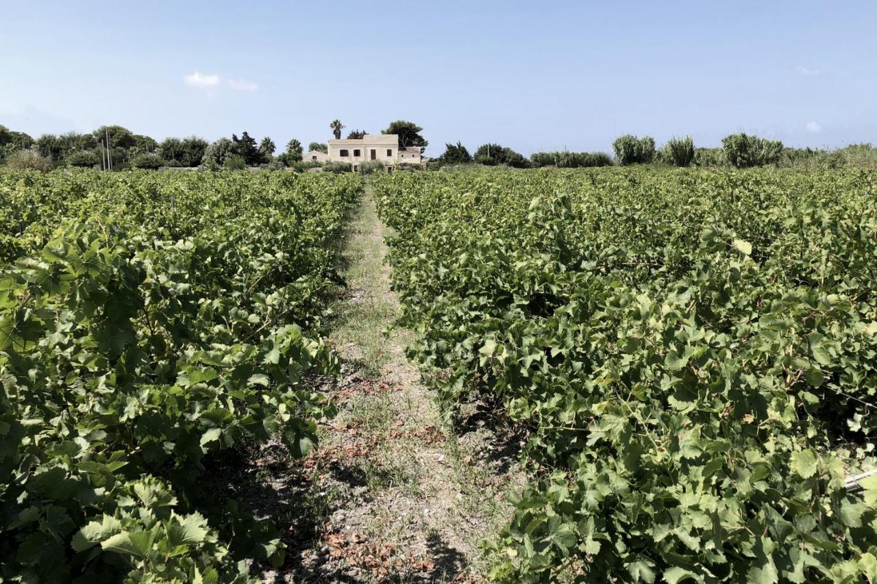 Villa Salinara مارسالا المظهر الخارجي الصورة